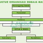 Struktur Organisasi Remaja Masjid